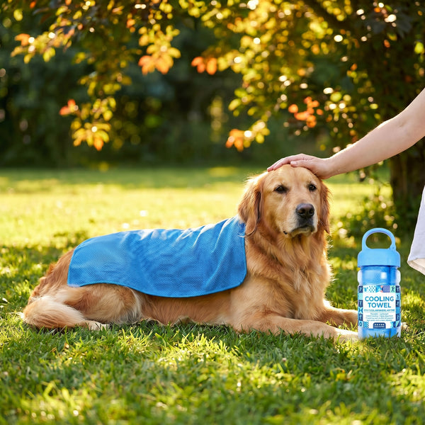 A Cooling, Anti-perspiration Towel You Can Use Anywhere, Anytime! Reusable, Soft, Absorbent And Cooling.