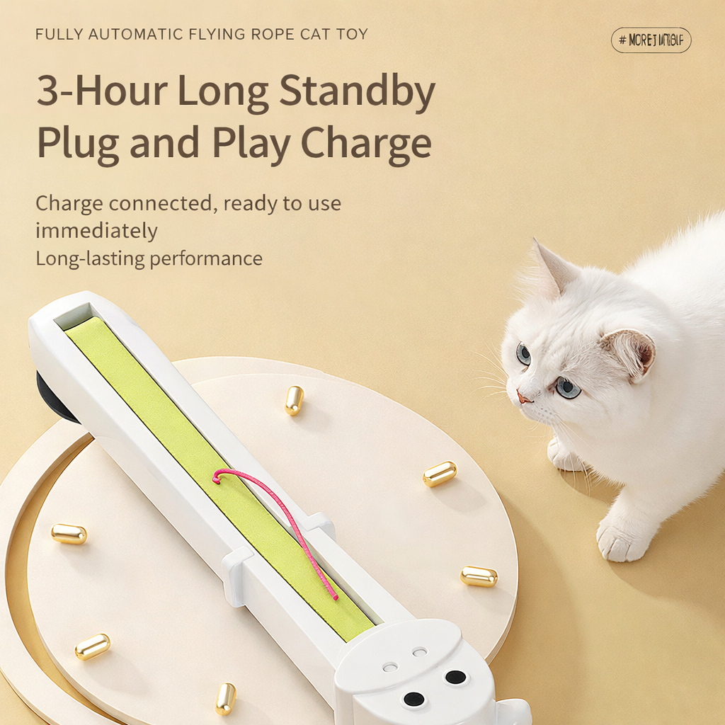 Door Mounted Automatic Cat Interactive Toy